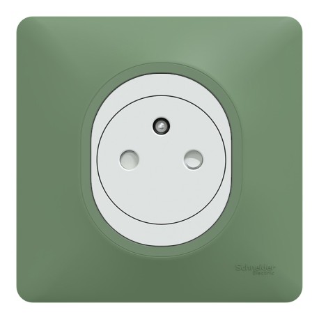 Schneider Ovalis - Prise complète 2P+T affleurante blanche avec Plaque couleur vert forêt - Réf : S320702B-PV01