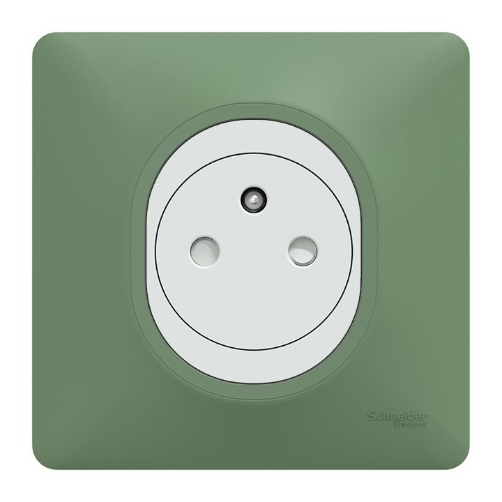 Schneider Ovalis - Prise complète 2P+T affleurante blanche avec Plaque couleur vert forêt - Réf : S320702B-PV01
