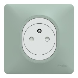 Schneider Ovalis - Prise complète 2P+T affleurante blanche avec Plaque couleur sauge - Réf : S320702A-PS01