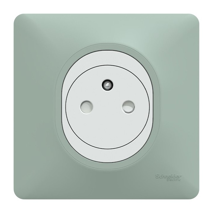 Schneider Ovalis - Prise complète 2P+T affleurante blanche avec Plaque couleur sauge - Réf : S320702A-PS01
