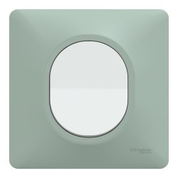 Schneider Ovalis - Interrupteur complet blanc avec Plaque couleur sauge - Réf : S320702A-PS02