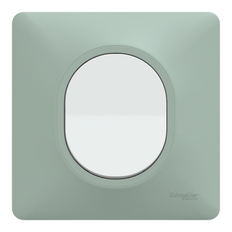 Schneider Ovalis - Interrupteur complet blanc avec Plaque couleur sauge - Réf : S320702A-PS02