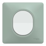 Schneider Ovalis - Interrupteur complet blanc avec Plaque couleur sauge - Réf : S320702A-PS02