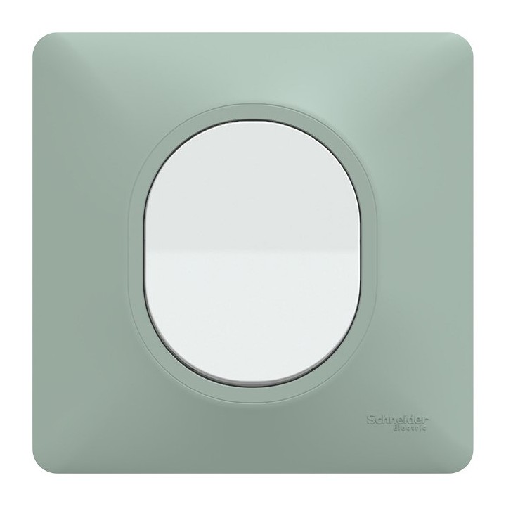 Schneider Ovalis - Interrupteur complet blanc avec Plaque couleur sauge - Réf : S320702A-PS02