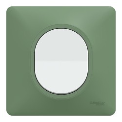Schneider Ovalis - Interrupteur complet blanc avec Plaque couleur vert forêt - Réf : S320702A-PV01