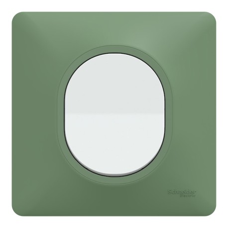 Schneider Ovalis - Interrupteur complet blanc avec Plaque couleur vert forêt - Réf : S320702A-PV01