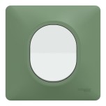 Schneider Ovalis - Interrupteur complet blanc avec Plaque couleur vert forêt - Réf : S320702A-PV01