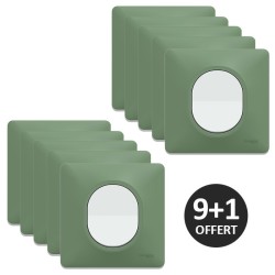 Schneider Ovalis - Lot de 10 interrupteurs complets dont 1 OFFERT - Plaques couleur vert forêt - Réf : S320702A-PV
