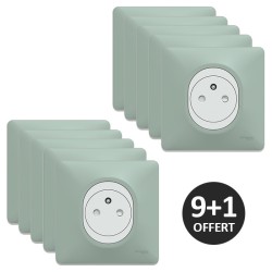 Schneider Ovalis - Lot de 10 Prises complètes 2P+T affleurantes dont 1 OFFERTE - Plaques couleur sauge - Réf : S320702A-PS
