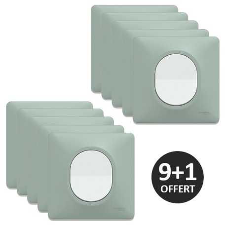 Schneider Ovalis - Lot de 10 interrupteurs complets dont 1 OFFERT - Plaques couleur sauge - Réf : S320702A-PS2