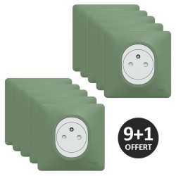 Schneider Ovalis - Lot de 10 Prises complètes 2P+T affleurantes dont 1 OFFERTE - Plaques couleur vert forêt - Réf : S320702B-PV