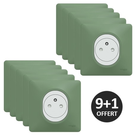 Schneider Ovalis - Lot de 10 Prises complètes 2P+T affleurantes dont 1 OFFERTE - Plaques couleur vert forêt - Réf : S320702B-PV