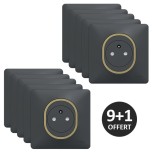Schneider Ovalis - Lot de 10 Prises complètes 2P+T affleurantes dont 1 OFFERTE - Plaque anthracite bague laiton -Réf: S340052-PL