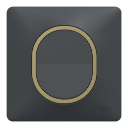 Schneider Ovalis - Interrupteur complet anthracite - Plaque anthracite avec bague effet laiton - Réf : S340204-PL02