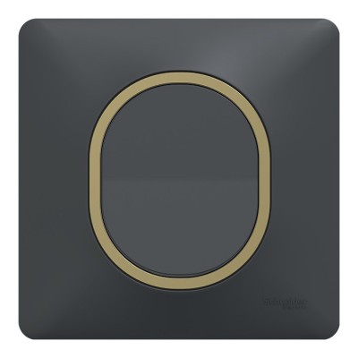 Schneider Ovalis - Interrupteur complet anthracite - Plaque anthracite avec bague effet laiton - Réf : S340204-PL02
