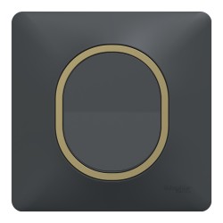 Schneider Ovalis - Interrupteur complet anthracite - Plaque anthracite avec bague effet laiton - Réf : S340204-PL02