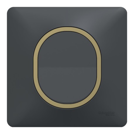 Schneider Ovalis - Interrupteur complet anthracite - Plaque anthracite avec bague effet laiton - Réf : S340204-PL02