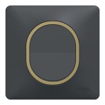 Schneider Ovalis - Interrupteur complet anthracite - Plaque anthracite avec bague effet laiton - Réf : S340204-PL02