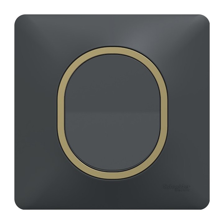 Schneider Ovalis - Interrupteur complet anthracite - Plaque anthracite avec bague effet laiton - Réf : S340204-PL02