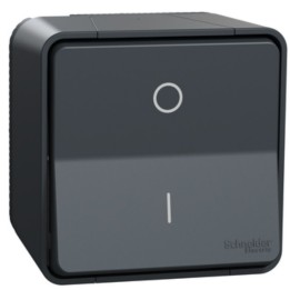 Schneider Mureva Styl - Interrupteur bipolaire complet saillie - IP55 connexion auto - gris - Réf : MUR35033