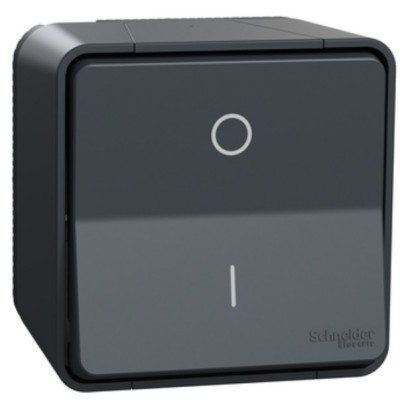 Schneider Mureva Styl - Interrupteur bipolaire complet saillie - IP55 connexion auto - gris - Réf : MUR35033