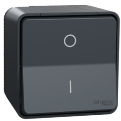 Schneider Mureva Styl - Interrupteur bipolaire complet saillie - IP55 connexion auto - gris - Réf : MUR35033