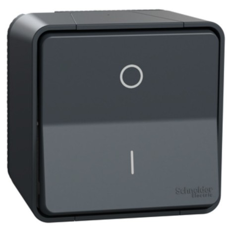 Schneider Mureva Styl - Interrupteur bipolaire complet saillie - IP55 connexion auto - gris - Réf : MUR35033
