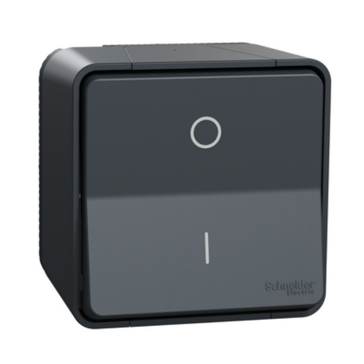 Schneider Mureva Styl - Interrupteur bipolaire complet saillie - IP55 connexion auto - gris - Réf : MUR35033