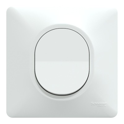 Schneider Ovalis - Interrupteur va et vient complet blanc - Réf : S320204-P