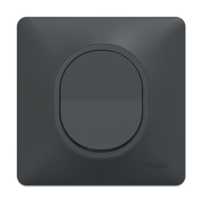 Schneider Probox Ovalis - 30 Prises + 10 Va-et-vient + 40 Plaques + 40 Boîtes dont 20 OFFERTES - Anthracite - Réf : PBXNOVA