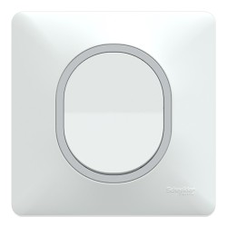 Schneider Ovalis - Interrupteur complet blanc - Plaque Blanche avec bague effet Argent Chromé - Réf : S320702F-P2