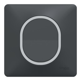 Schneider - Ovalis - Interrupteur complet anthracite - Plaque anthracite avec bague effet Argent Chromé - Réf : S340702G-P2