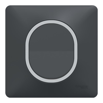 Schneider - Ovalis - Interrupteur complet anthracite - Plaque anthracite avec bague effet Argent Chromé - Réf : S340702G-P2