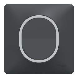 Schneider - Ovalis - Interrupteur complet anthracite - Plaque anthracite avec bague effet Argent Chromé - Réf : S340702G-P2