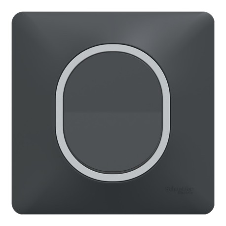 Schneider - Ovalis - Interrupteur complet anthracite - Plaque anthracite avec bague effet Argent Chromé - Réf : S340702G-P2