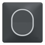 Schneider - Ovalis - Interrupteur complet anthracite - Plaque anthracite avec bague effet Argent Chromé - Réf : S340702G-P2