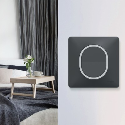 Schneider Ovalis - Interrupteur complet anthracite - Plaque anthracite avec bague effet Argent Chromé - Réf : S340702G-P2