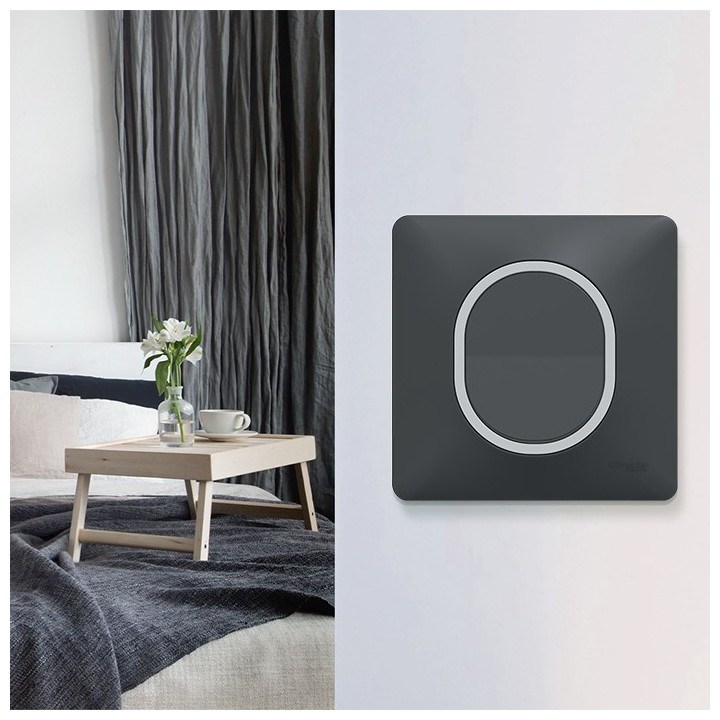 Schneider Ovalis - Interrupteur complet anthracite - Plaque anthracite avec bague effet Argent Chromé - Réf : S340702G-P2