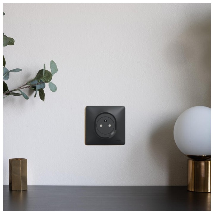 Schneider - Ovalis - Combi 2P+T 16A affleurante+chargeur USB-C 10,5W - Connexion auto - Anth - Réf : S340089