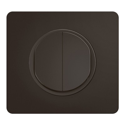 Legrand Céliane - Double interrupteur ou va-et-vient 10AX 230V~ - Ensemble à composer - Noir - Réf : CM0001-PN2