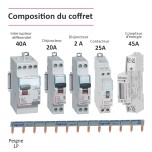 Legrand - Coffret précâblé pour recharge véhicule électrique avec Compteur énergie 45A + Contacteur 25A -Réf: 001908-01-Précablé