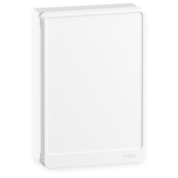 Schneider - Resi9 - coffret 13 Modules - 2 Rangées + Porte incluse à -50% - Réf : R9H13402-P