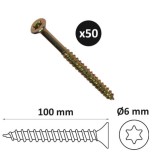 ING - Vis à bois Torx tête fraisée Ø6 mm x longueur 100mm - Sachet de 50 - Réf : INGA851822