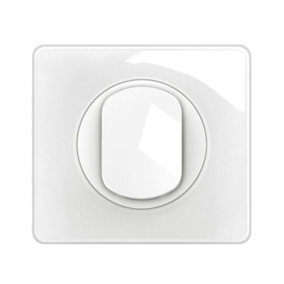 Legrand Céliane - Permutateur complet - 10AX - 1 poste - Blanc - Réf : CM0005-P