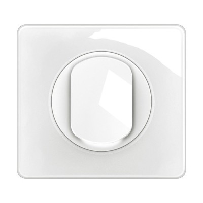 Legrand Céliane - Interrupteur ou va-et-vient complet avec voyant lumineux - 1 poste - Blanc - Réf : CG1001