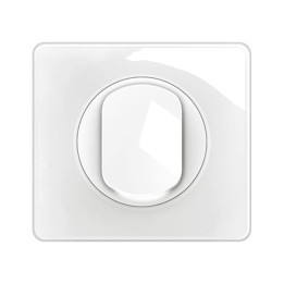 Legrand Céliane - Poussoir complet avec voyant lumineux - 1 poste - Blanc - Réf : CM0031-PL