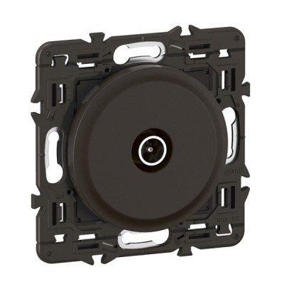 Legrand Céliane - Prise TV simple mâle - noir avec support - à équiper d'une plaque - Réf : CN0382-SP