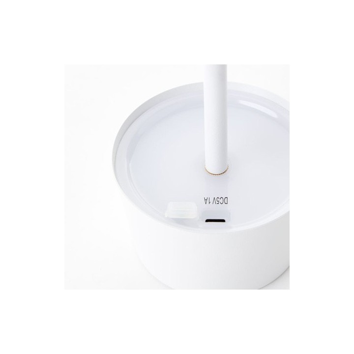 Brilliant - Viani - Lampe de table extérieur-intérieur LED - 2W - 3000K - blanc - Réf : G4090505