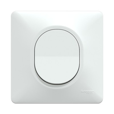 Schneider Probox Ovalis - Lot de 30 Prises + 10 Va-et-vient + 40 Plaques + 40 Boîtes dont 20 OFFERTES - Blanc - Réf : PBXBOVA
