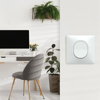 Schneider Probox Ovalis - Lot de 30 Prises + 10 Va-et-vient + 40 Plaques + 40 Boîtes dont 20 OFFERTES - Blanc - Réf : PBXBOVA